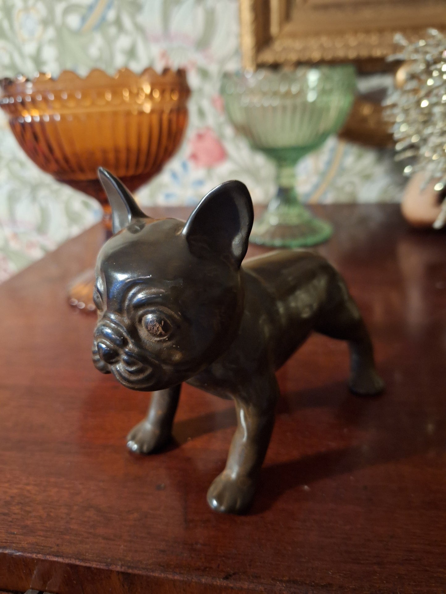 Brown Bulldogg