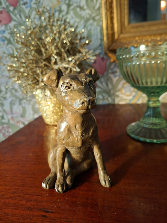 The dog Joppe sitting