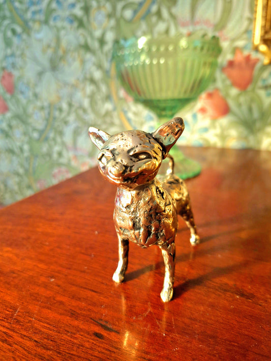 Chihuahua